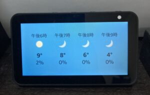 echo show weather